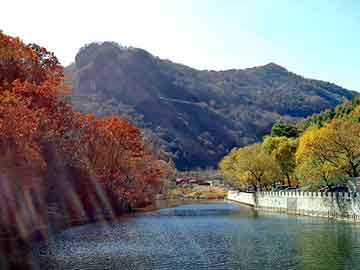 管家婆黑白马报图库，chinabug